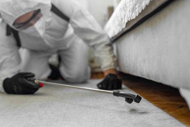Professional Bed Bug Control technician working in West Columbia, SC