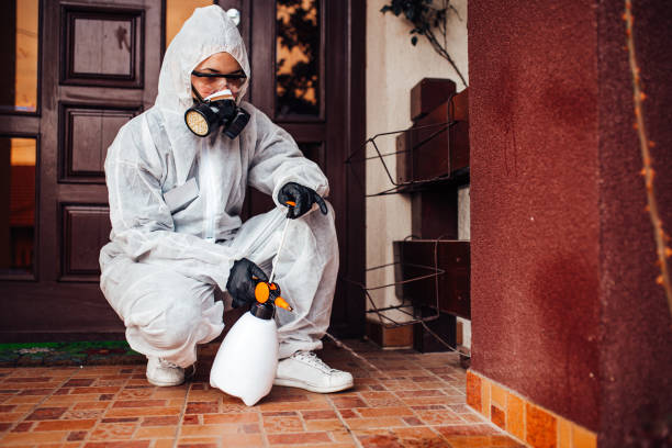 Reliable Bed Bug Control contractor in West Columbia, SC by Nex Pest Control