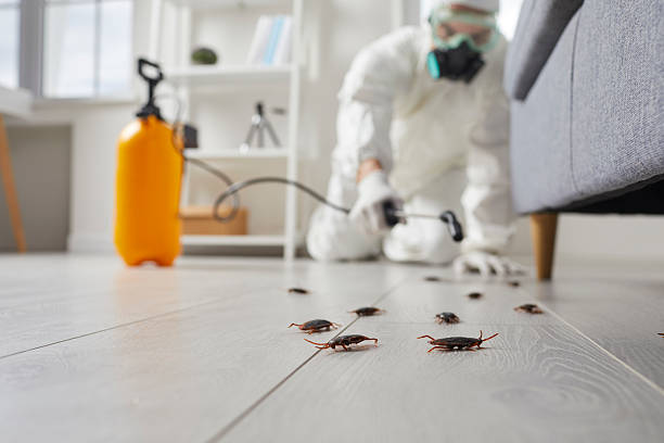 Trusted Emergency Pest Control service in West Columbia, SC - Nex Pest Control